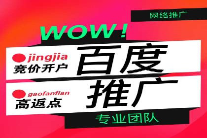 行业标杆案例：百度推广托管优化策略全解析